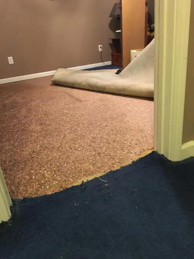 Carpet pad removal revealing water damage during Water Mitigation Services in Upper Chichester